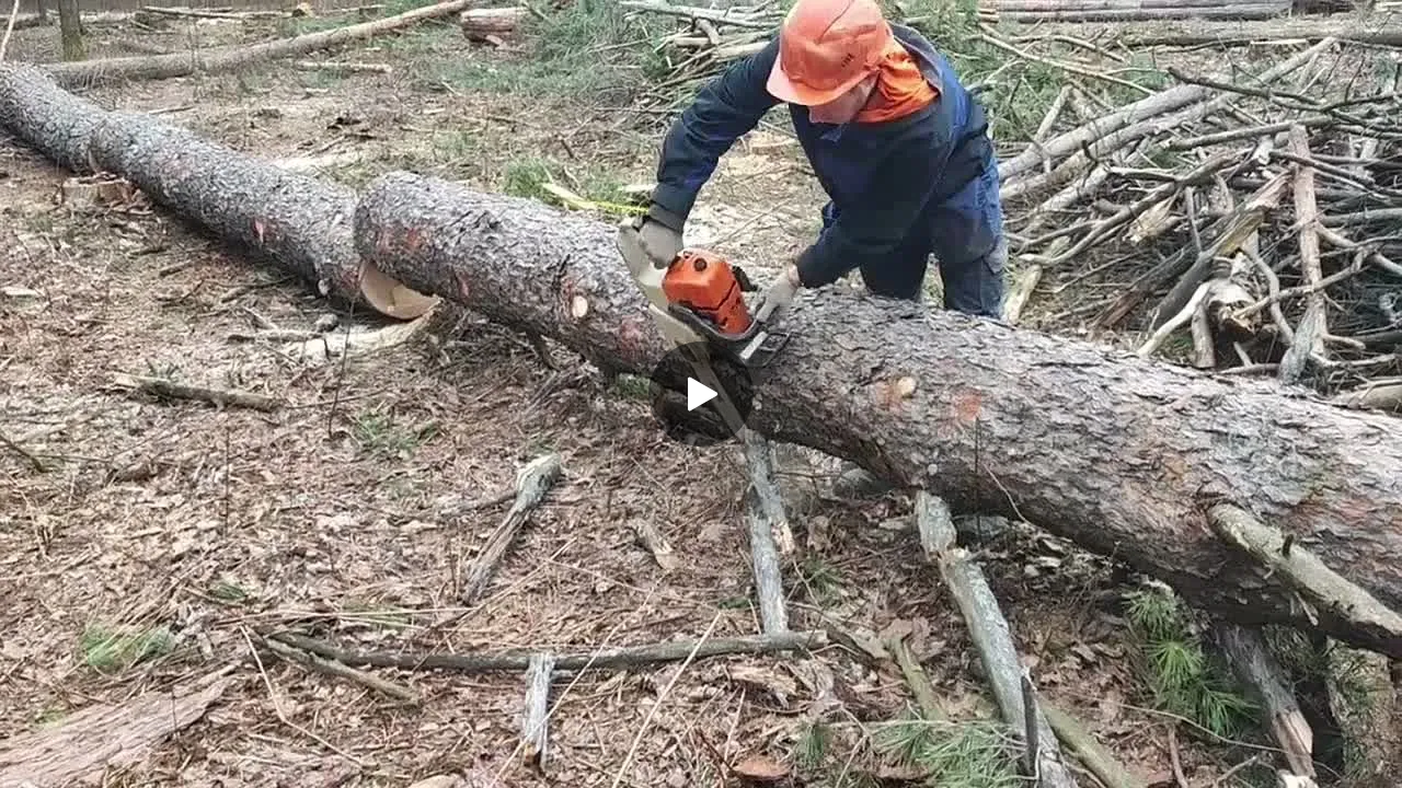 Кадр из видео «Промо ролик с озвучкой для пилорамы в Калинино, Хакасия»