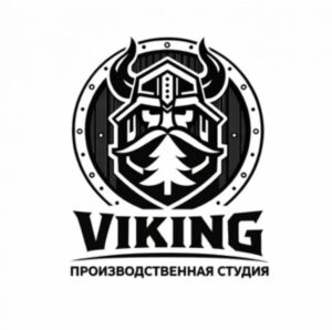 Логотип Viking19.ru